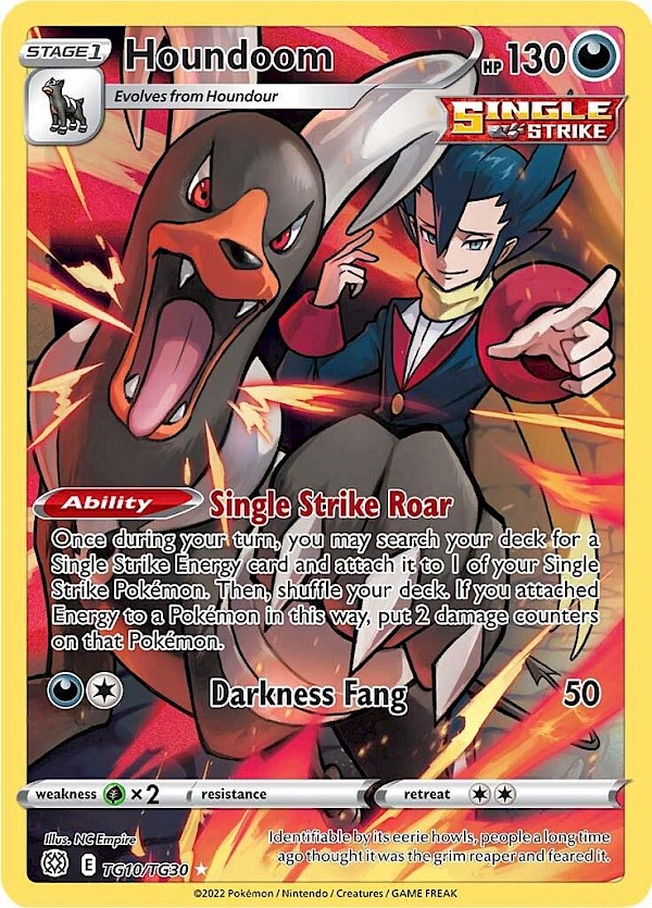 Houndoom - TG10/TG30 (Brilliant Stars Trainer Gallery)